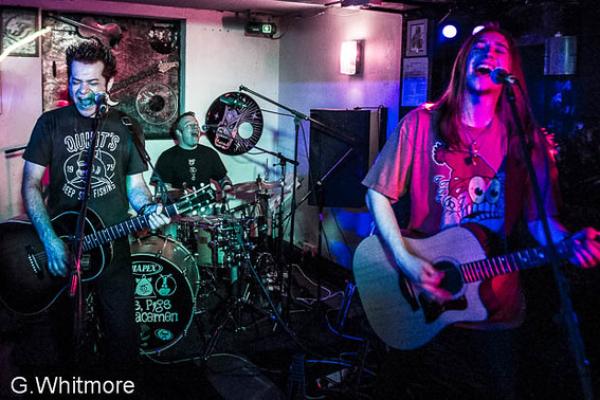 Apes, Pigs & Spacemen