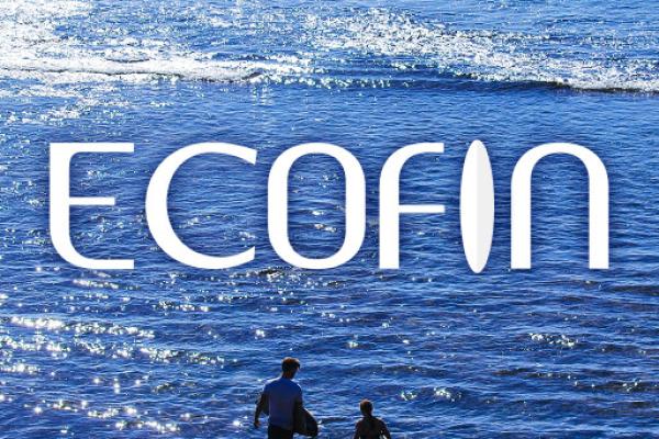 Ecofin Eurovision Event