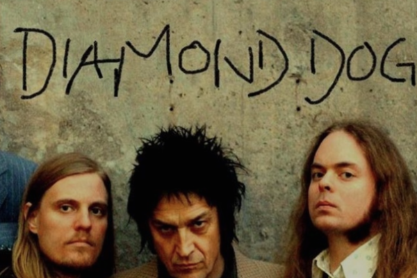The Diamond Dogs