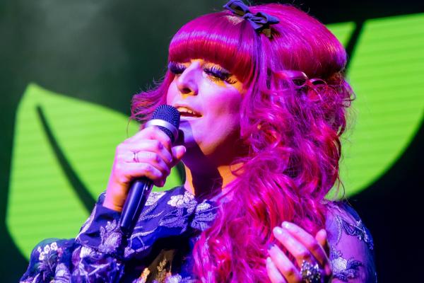 Presented by The Doll's House