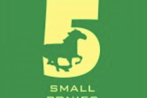 Five Small Ponies