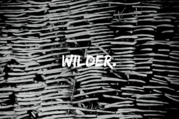 Wilder