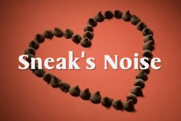 Sneak's Noise