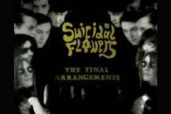 Utopian Turtle-Top Surf Sluts