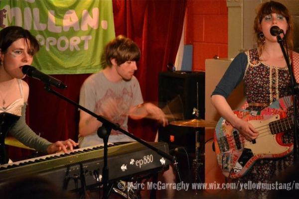 What The Cat Dragged In