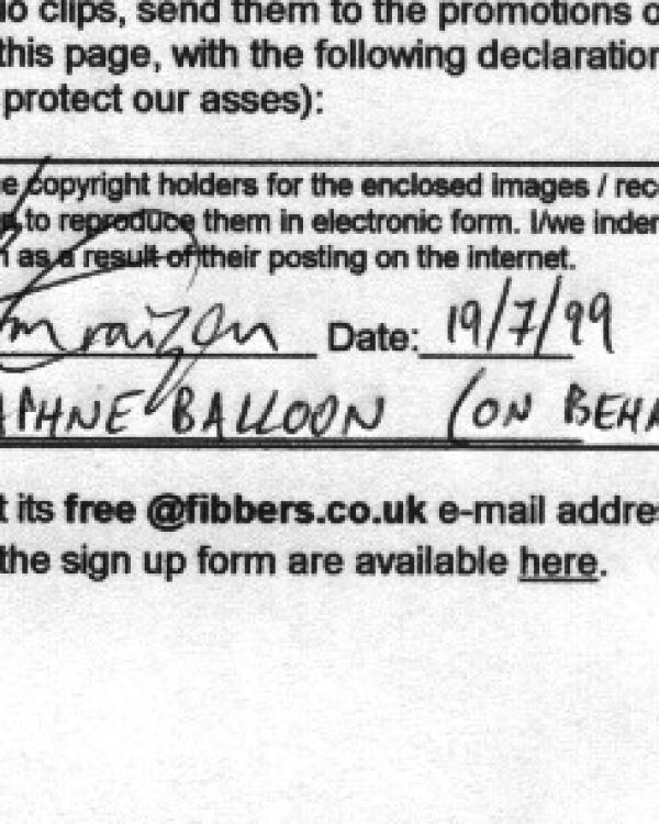 1999 Daphne Balloon / Stone Soup disclaimer