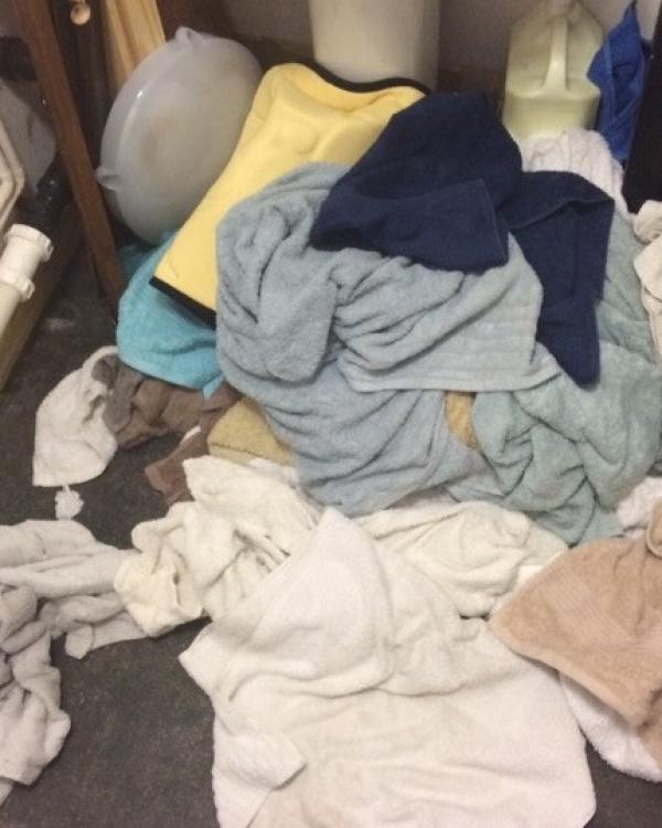 2017 Sixteen band towels for a trio