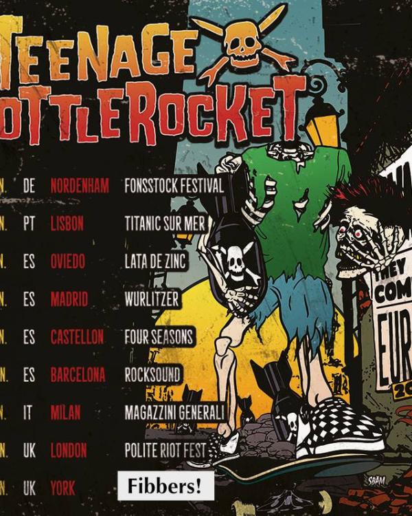 2018 Teenage Bottlerocket