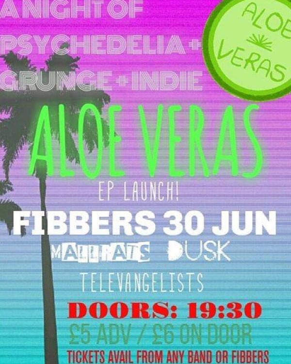 2017 Aloe Veras, Mallrats, Dvsk, Televangelists