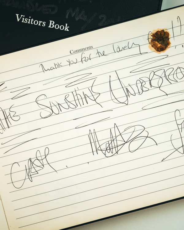 2012 The Sunshine Underground fed by Michelle when we lived on The Shambles