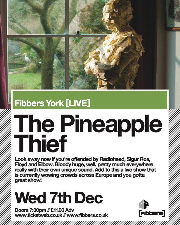 2011 The Pineapple Thief