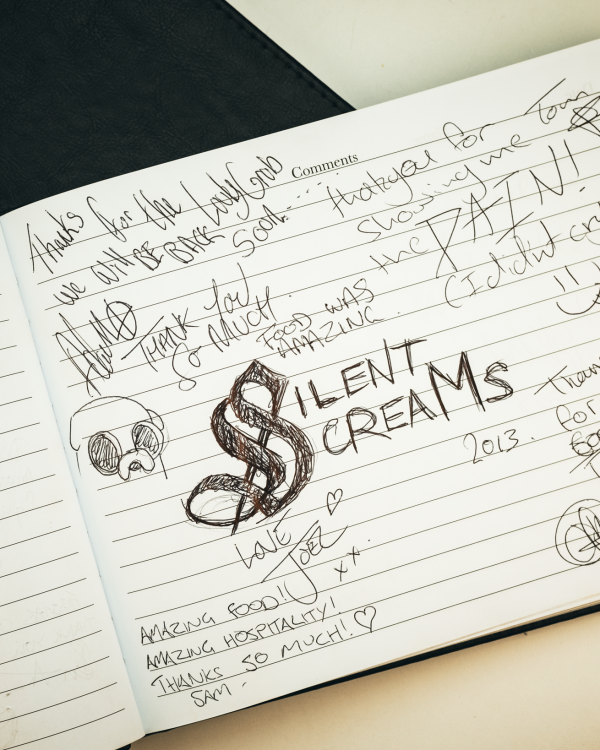 2013 Silent Screams fed by Michelle when we lived on The Shambles