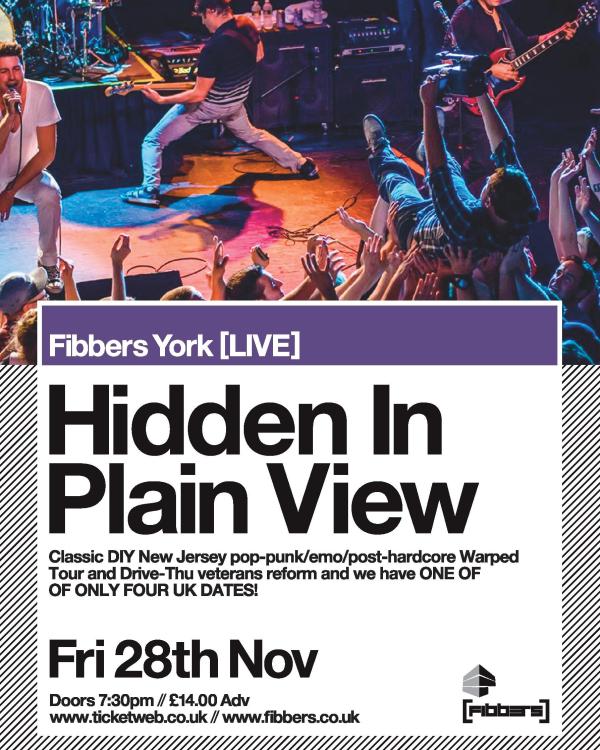 2013 Hidden In Plain View