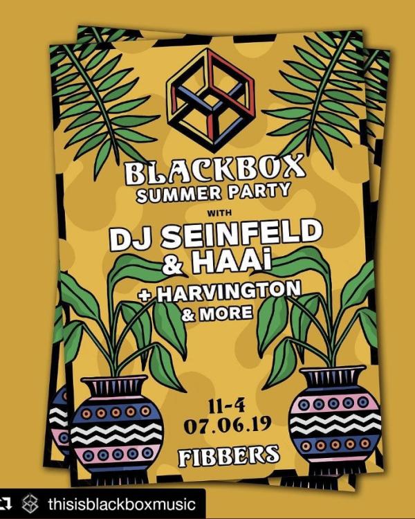 2019 Blackbox Summer Party