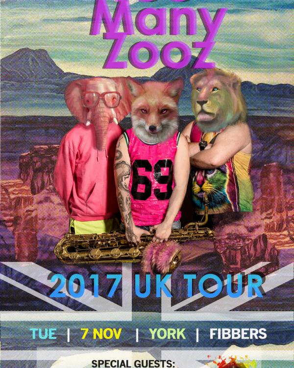 2017 Too Many Zooz, Flatcap Carnival