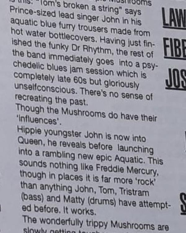 1998 Purple Mushrooms review Charm magazine