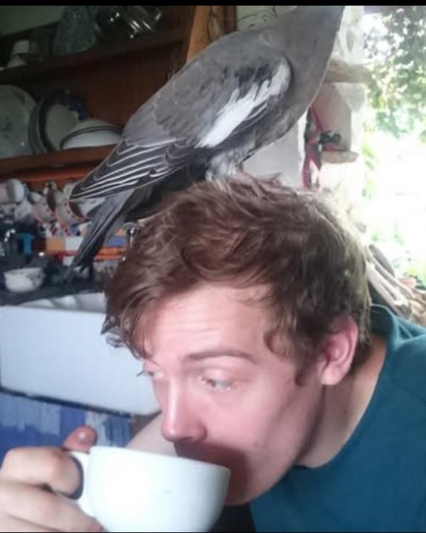 Louis sound engineer