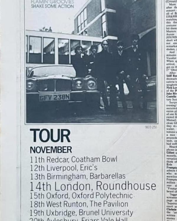 1990 Flamin'Groovies